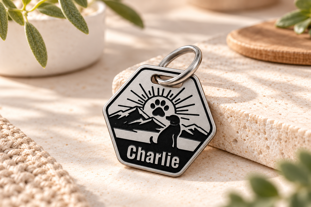 Stainless Steel Dog Tags vs Cheap Alternatives: What Lasts