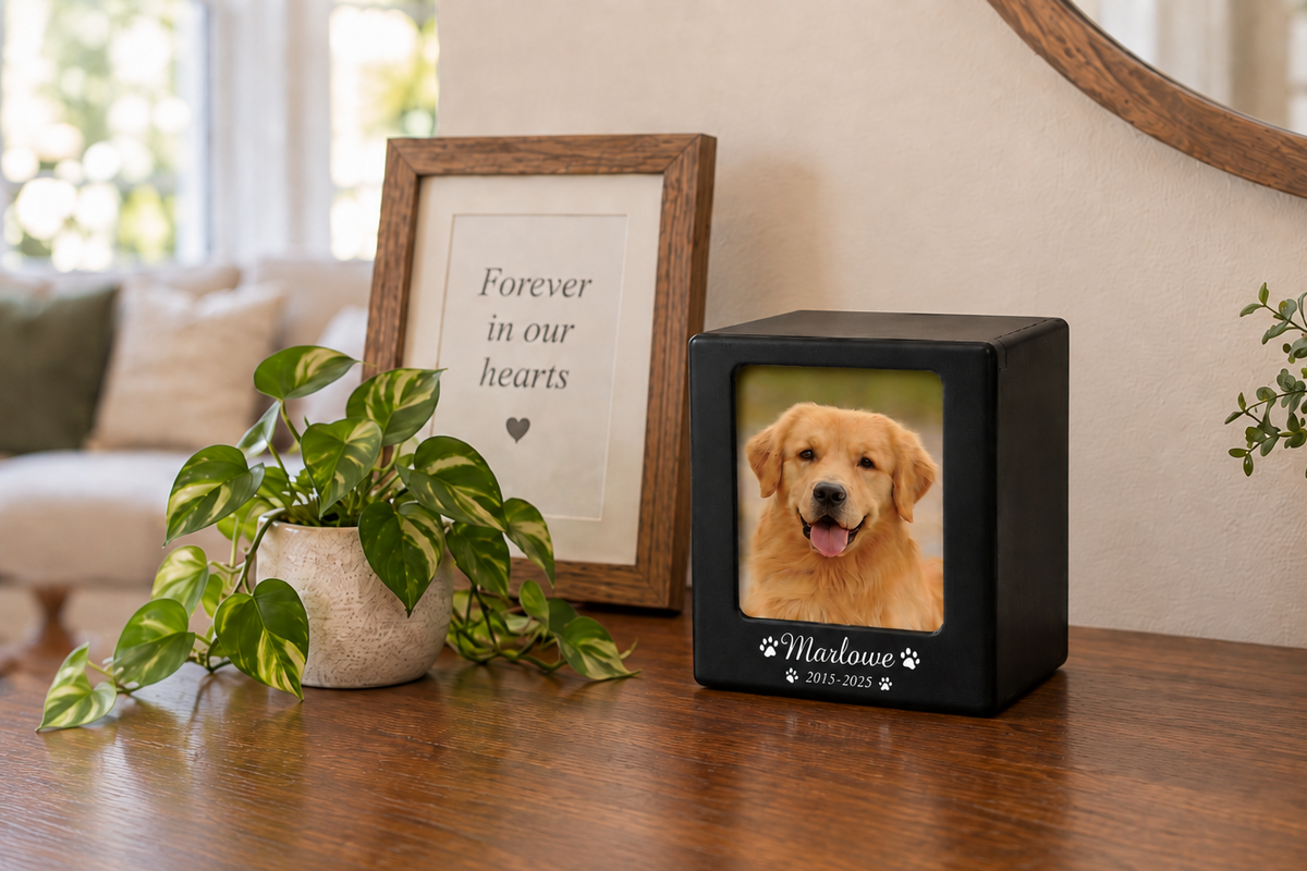 Can You Fly With Pet Ashes? TSA Rules and How to Travel With Them