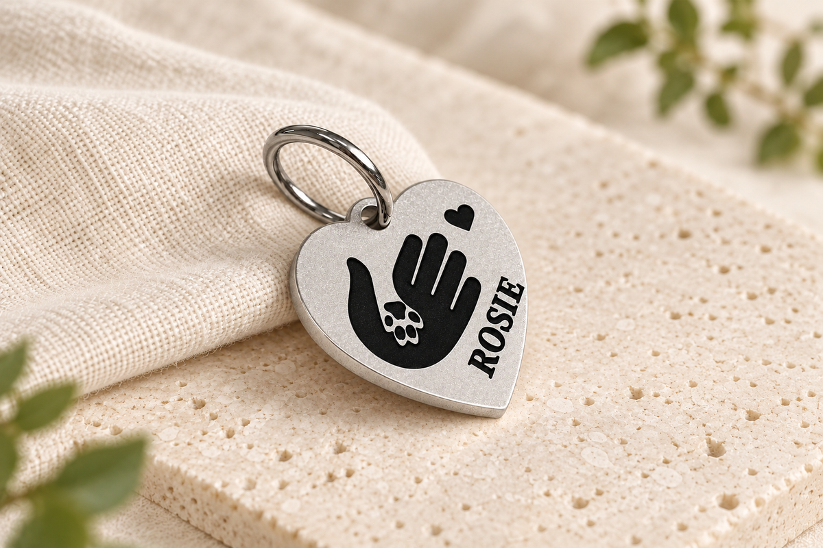 Personalized Rescue Dog Tags: Celebrate Forever Home Without Skipping Safety