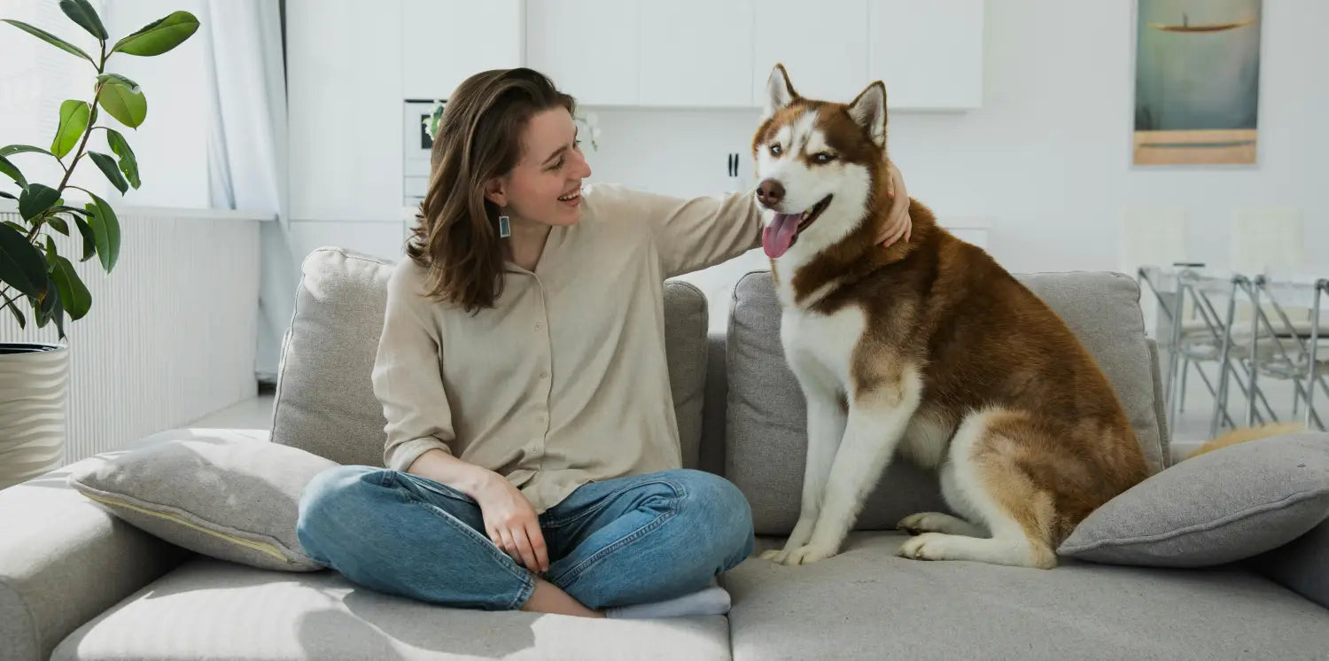 What Kind of Pet Photo Works Best for a Custom Pet Gift?