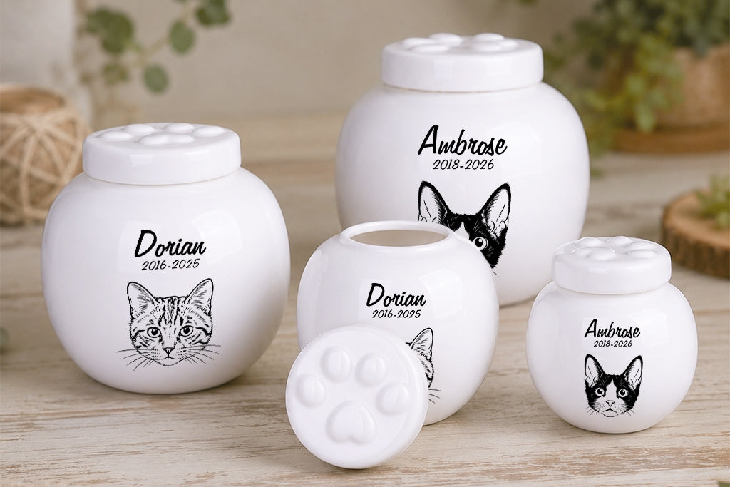 Honoring Their Paw Prints: 8 Meaningful Ways to Remember a Pet Who Has Crossed the Rainbow Bridge