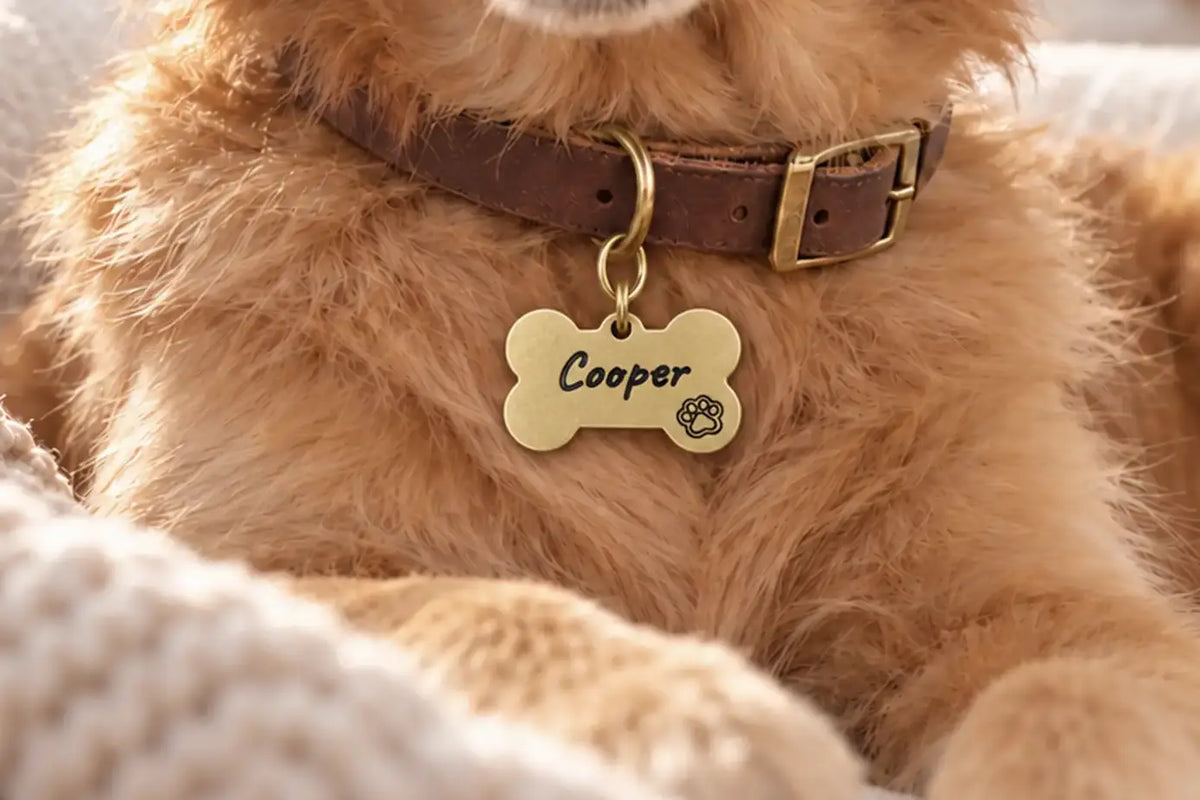 Personalized Dog ID Tags: What Actually Matters Before You Buy