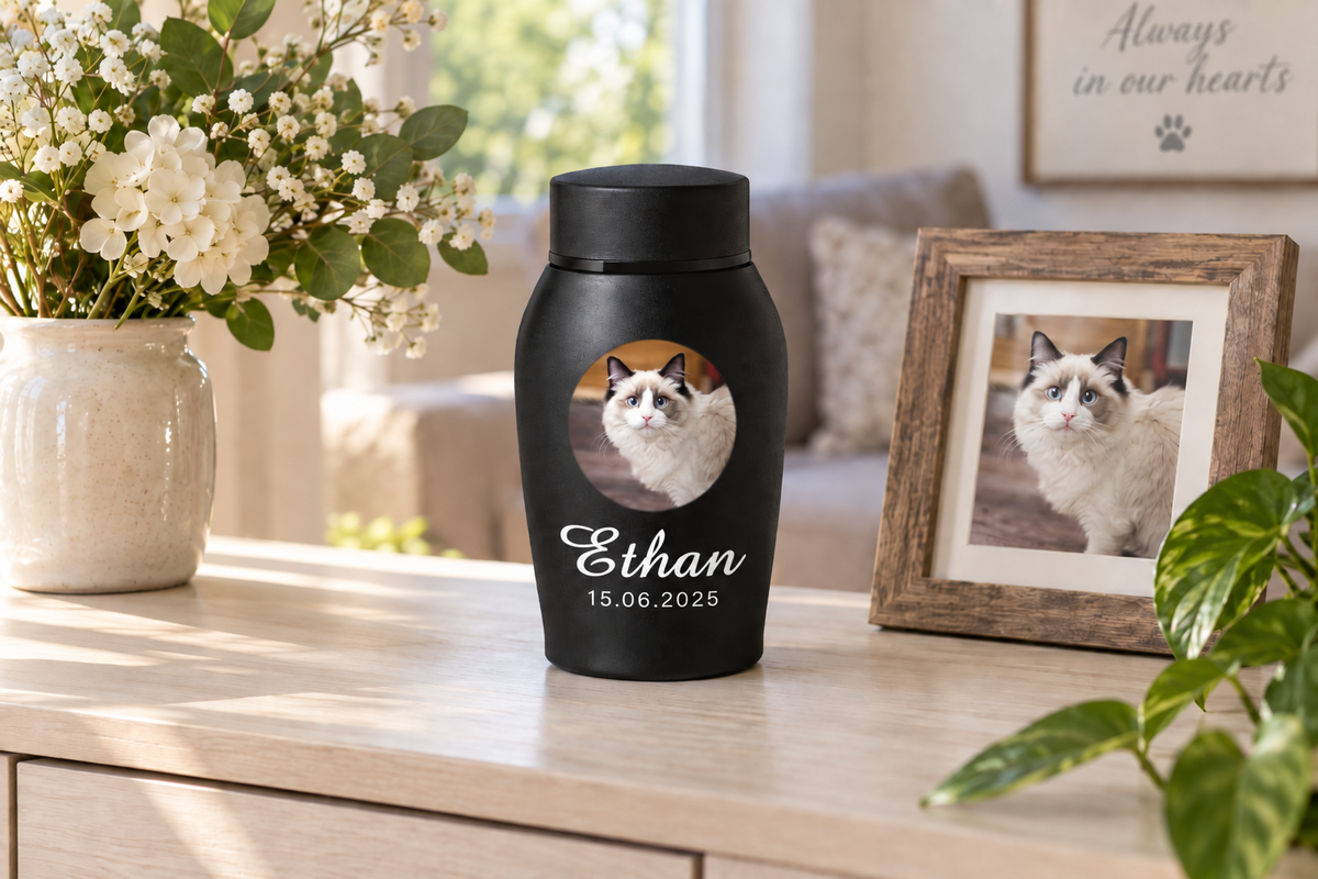 What to Do When Your Cat Dies at Home