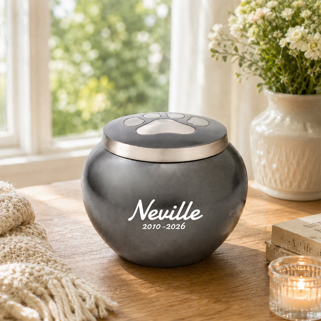 Personalized pet urn in gunmetal brass with a paw-print lid