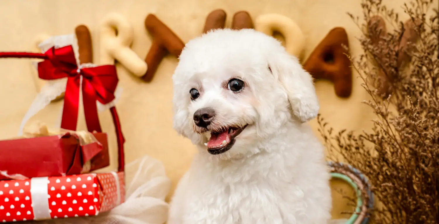 How Long Does a Custom Pet Gift Take to Make and Ship?