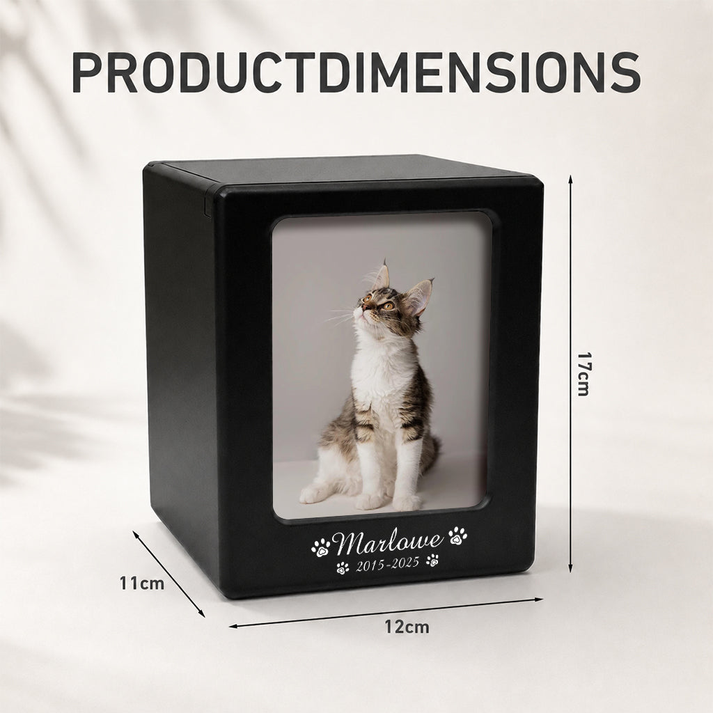 Size guide showing dimensions for the wooden cat cremation urn memorial box