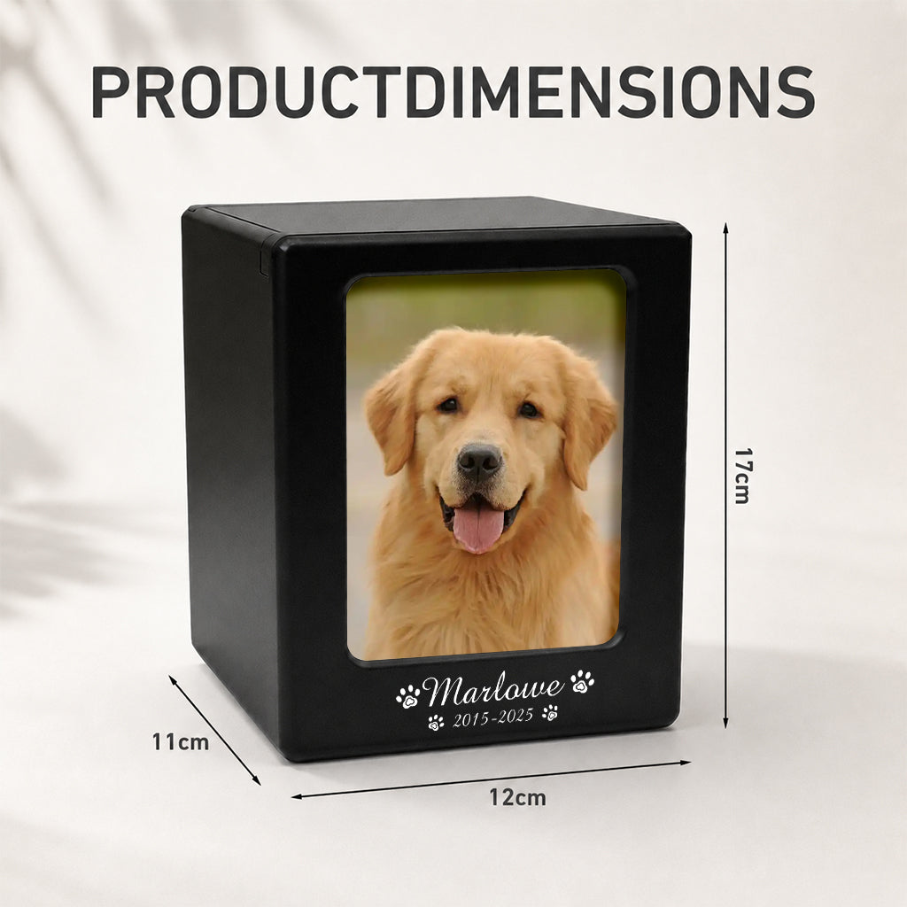 Size guide showing dimensions for the wooden dog cremation urn memorial box