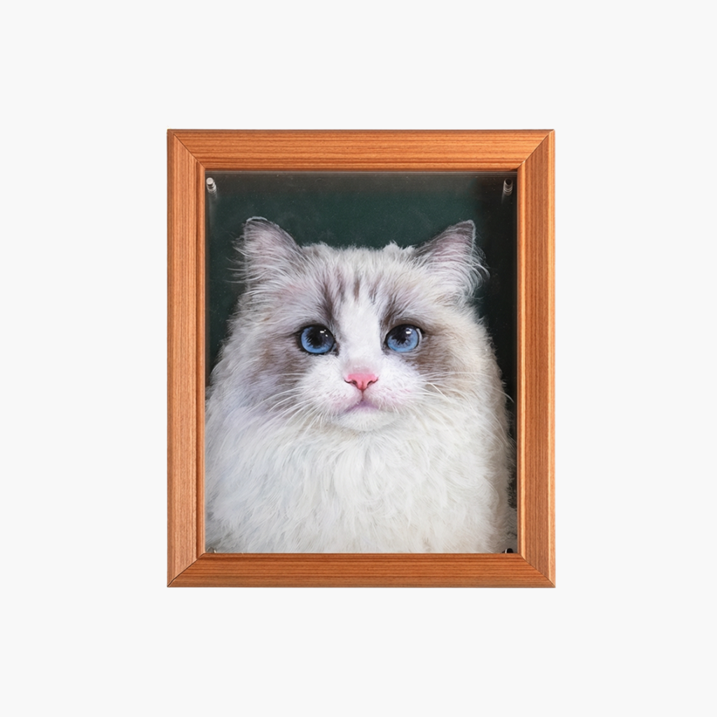 Custom hand-painted pet portrait on 8x10 multi-layer acrylic panel showing rich fur and eye detail