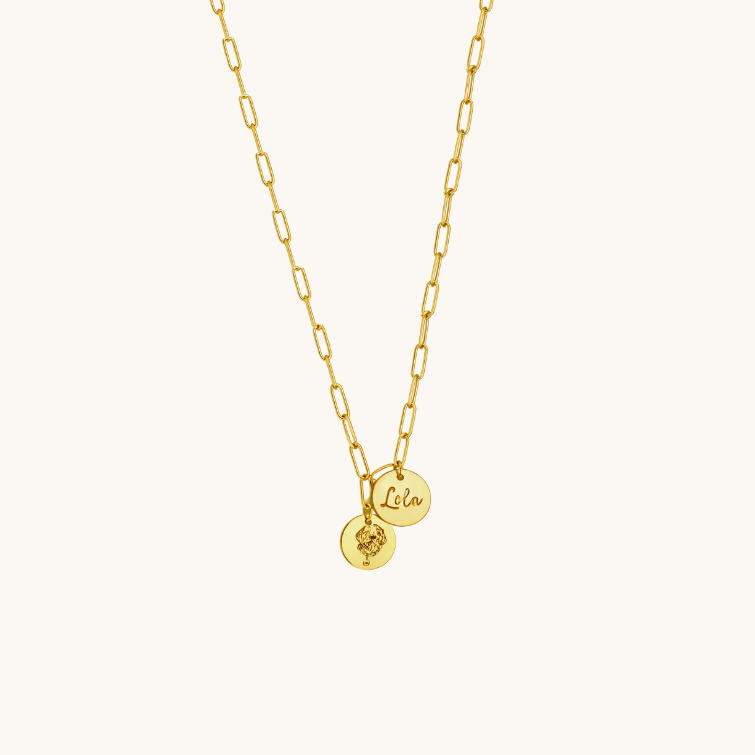 Custom pet name necklace with two charms — engraved pet portrait and name tag on a link chain