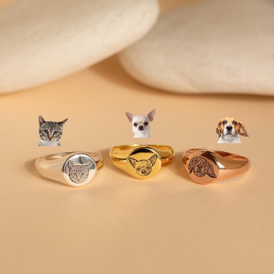 Custom pet signet ring shown in gold, silver, and rose gold finish options side by side