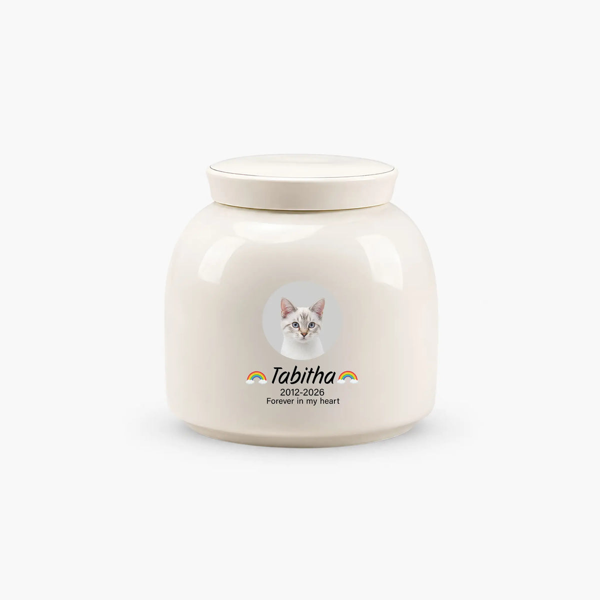 Cream ceramic cat cremation urn with a round pet photo, rainbows either side of the name, dates and memorial line