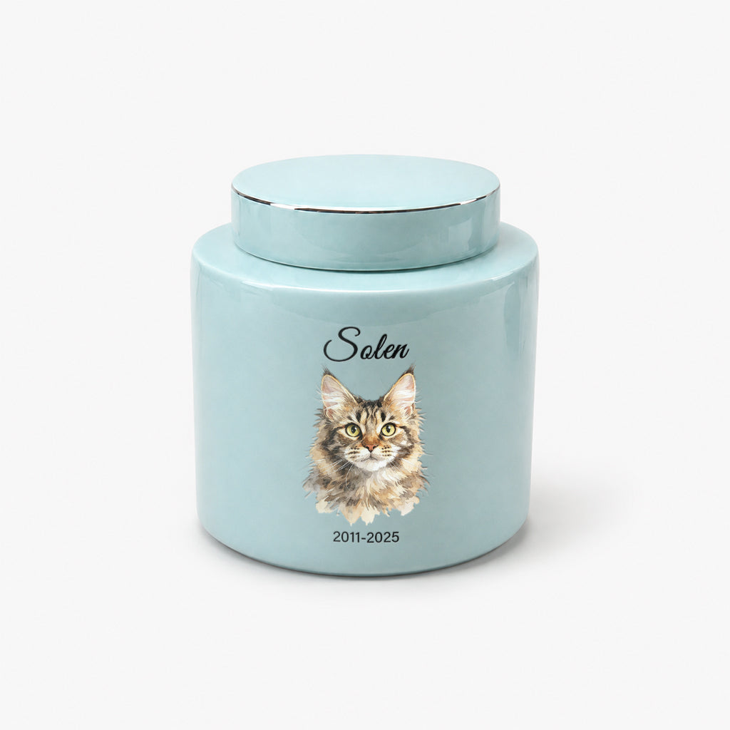 Top-down view of teal ceramic cat urn showing dark lid and overall shape and finish