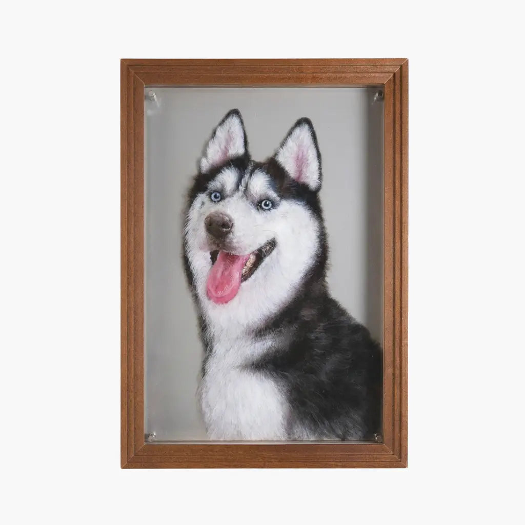 Custom hand-painted Siberian Husky pet portrait on five-layer acrylic panel in walnut wood frame, front view