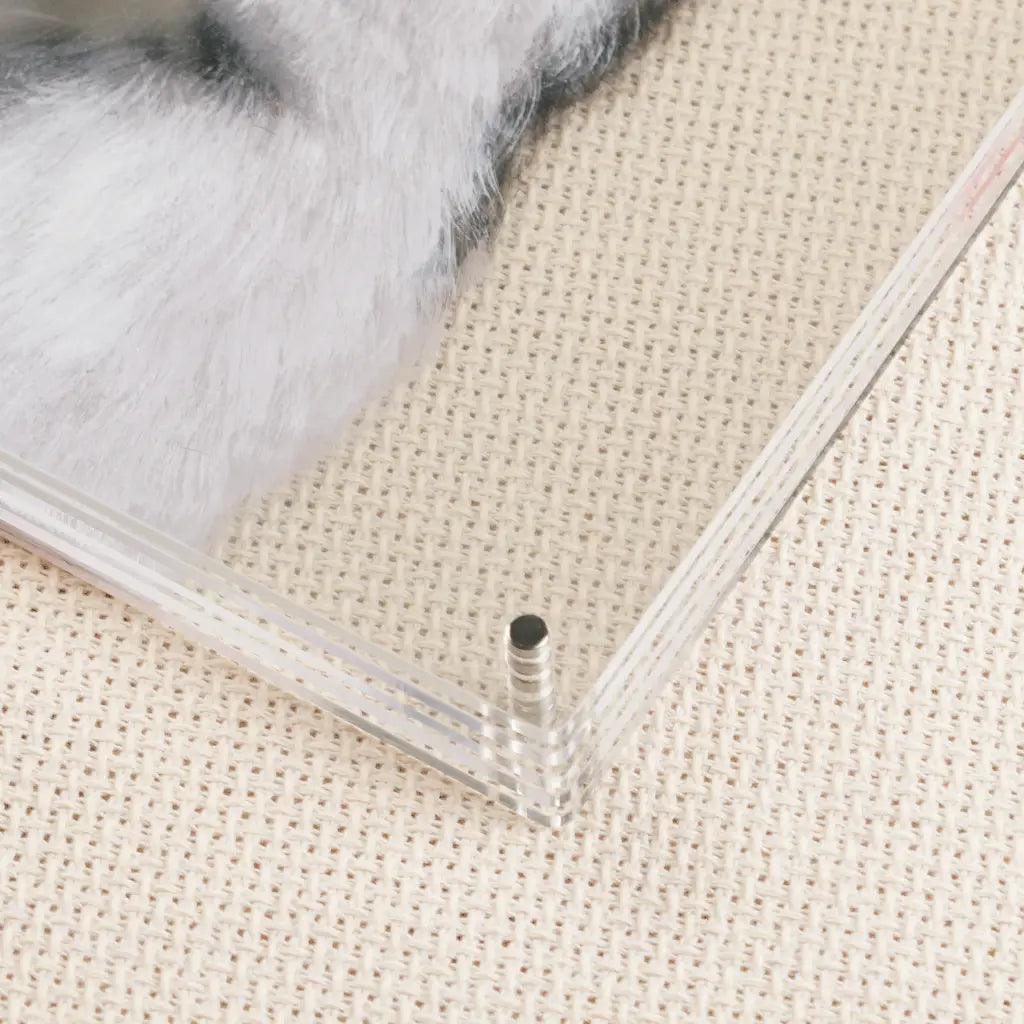 Corner detail of clear acrylic pet portrait panel showing five stacked layers and metal pin construction