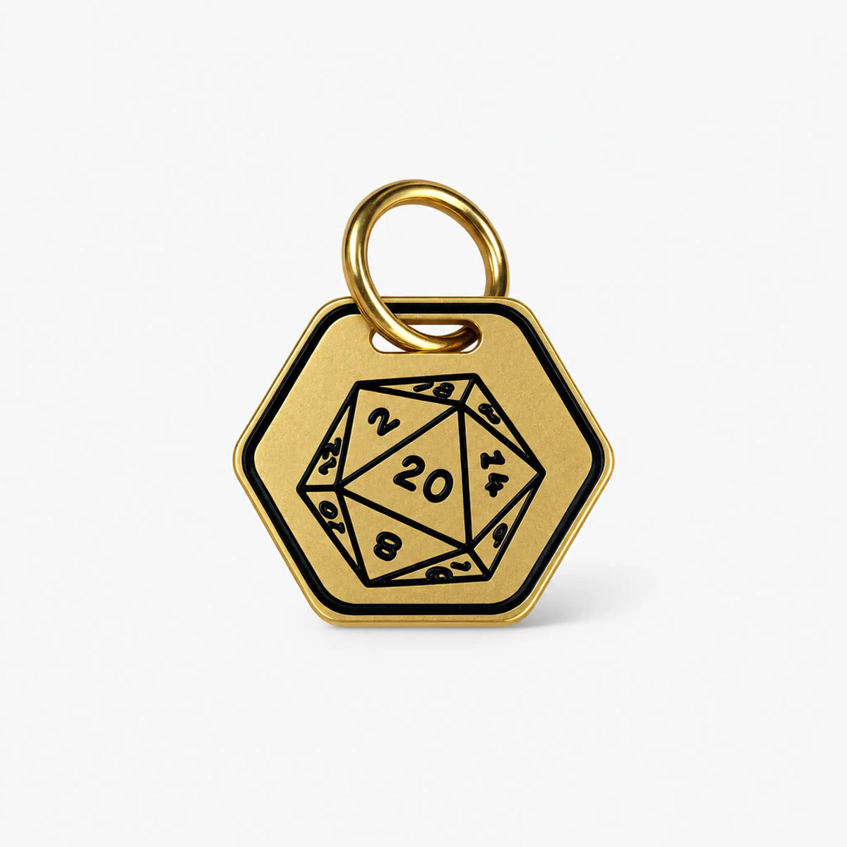D20 Personalized Dog ID Tag – Gold-Tone Stainless Steel