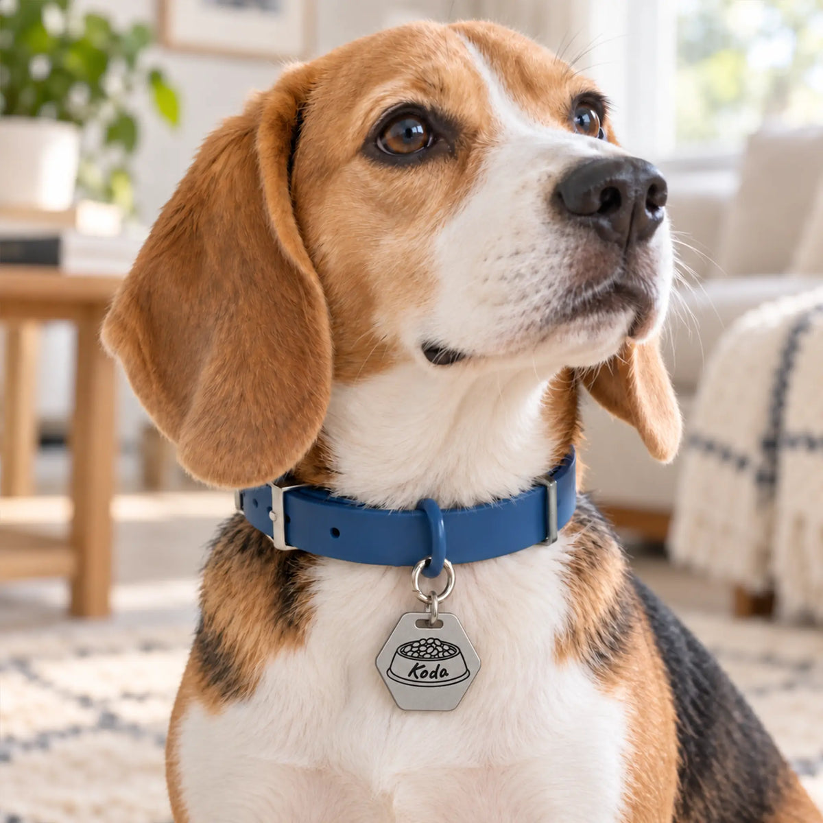 Dinner Time Personalized Dog ID Tag – Food Bowl Design