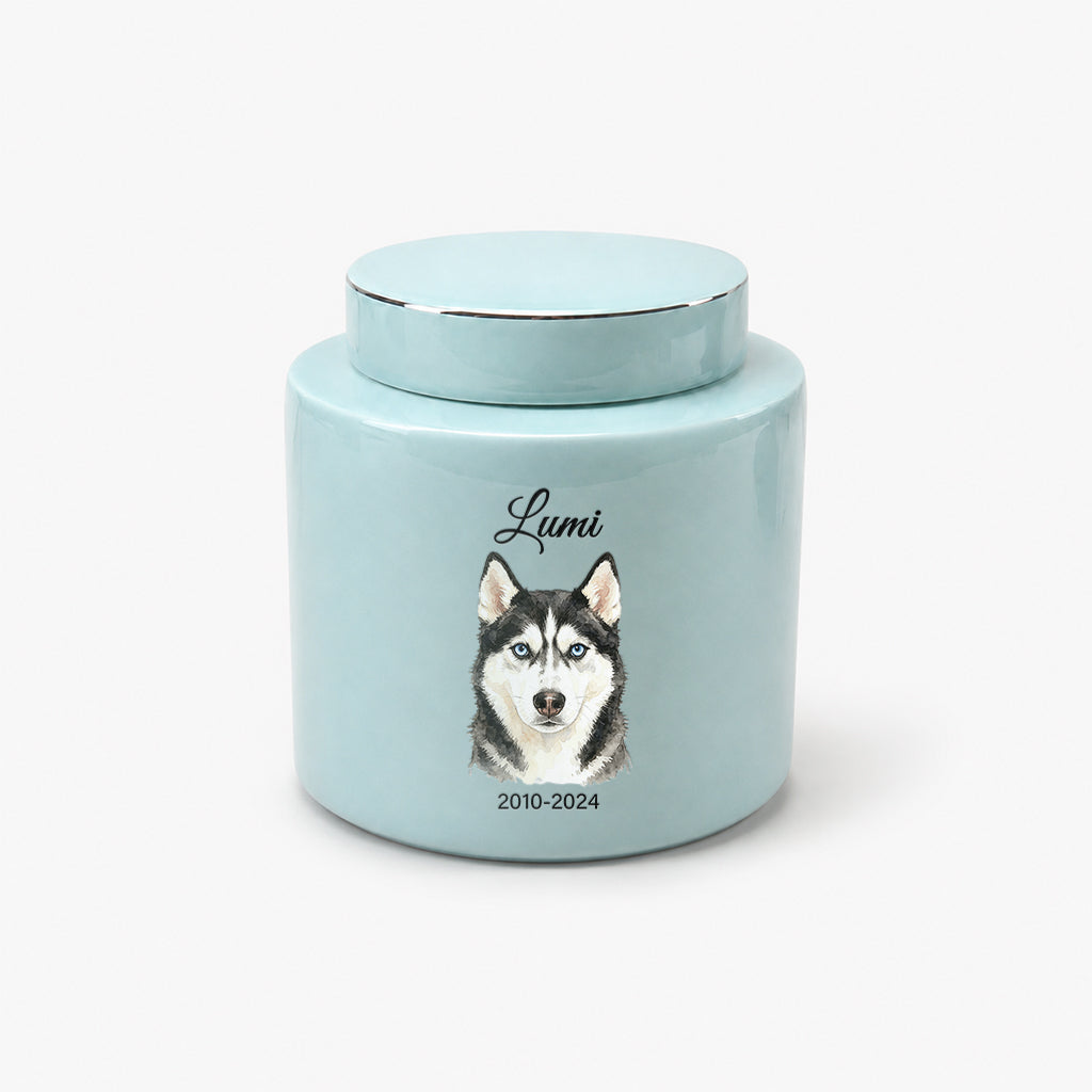 Top-down view of teal ceramic dog urn showing dark lid and overall shape and finish