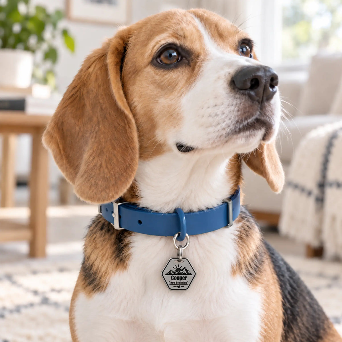 New Beginning Personalized Dog ID Tag – Mountain Sunrise