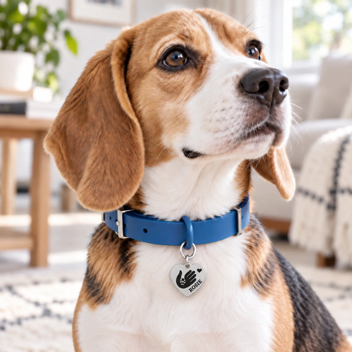 Paw in Hand Personalized Heart Dog ID Tag – Stainless Steel