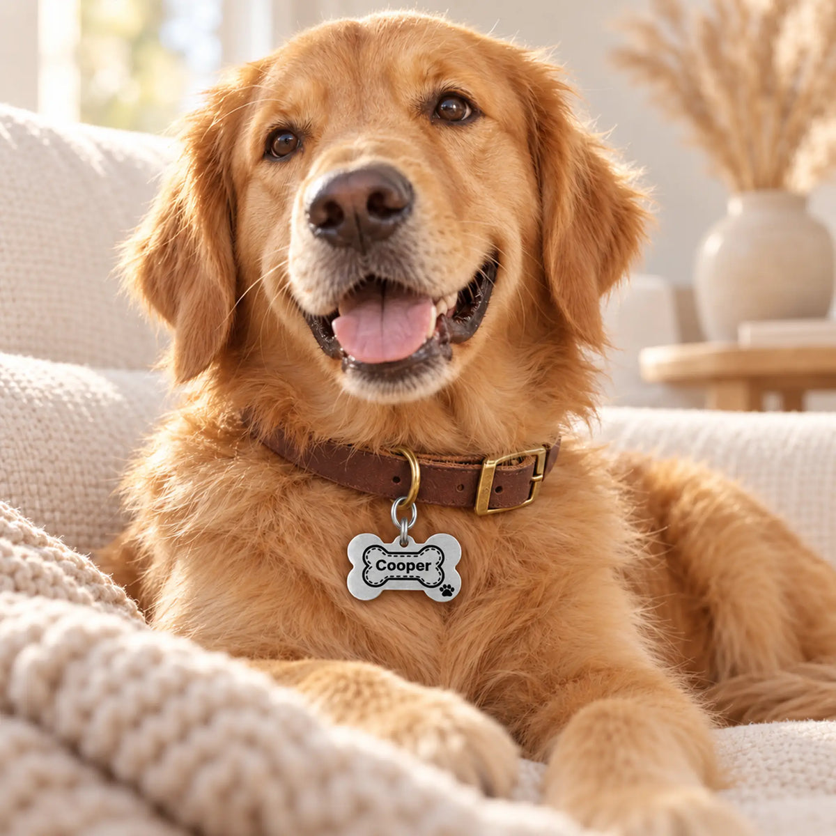 Pawprint Bone Personalized Dog ID Tag – Silver-Tone Stainless Steel