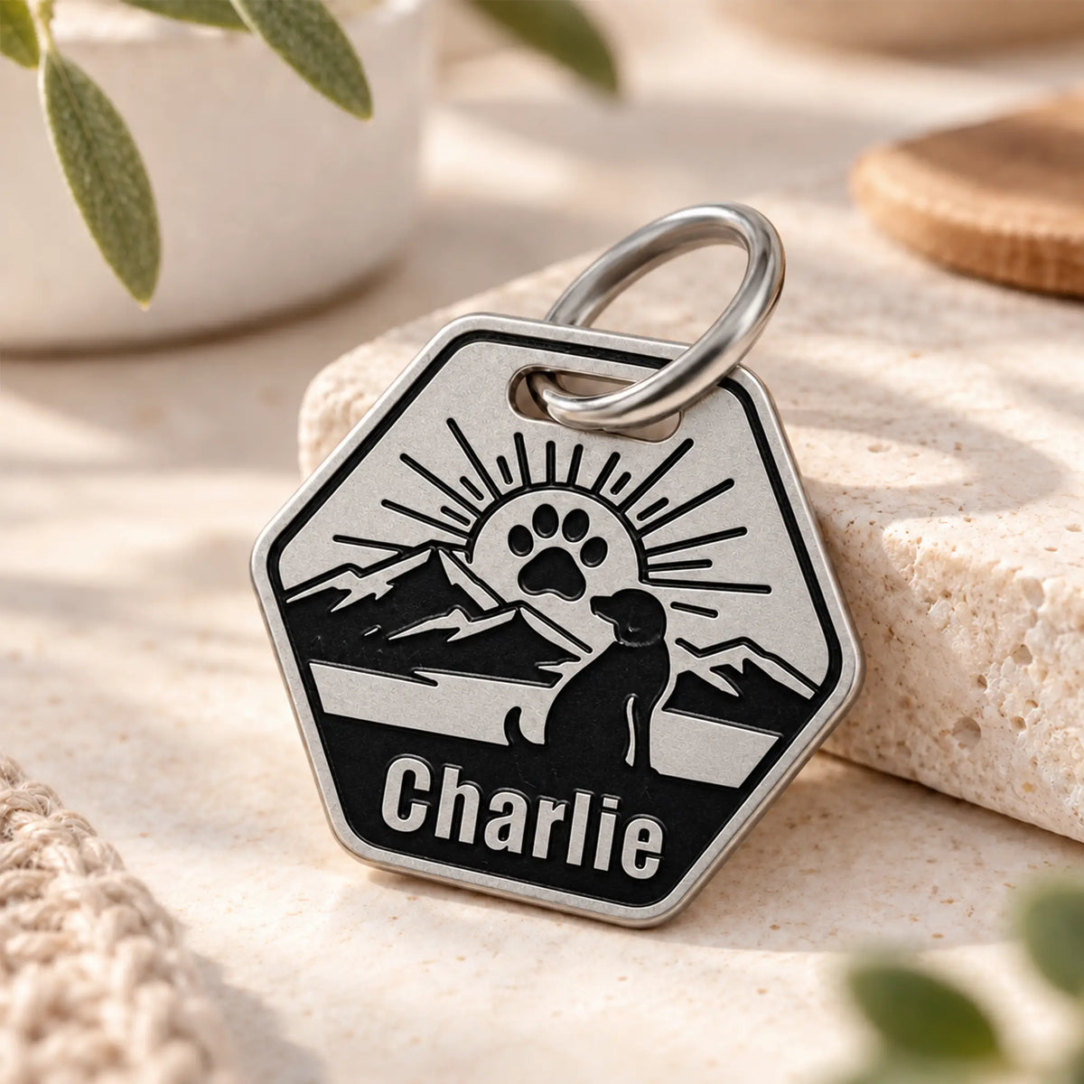 Pawprint Sunrise Personalized Dog ID Tag – Stainless Steel